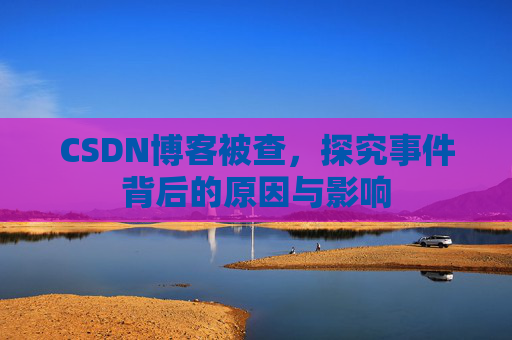 CSDN博客被查，探究事件背后的原因与影响